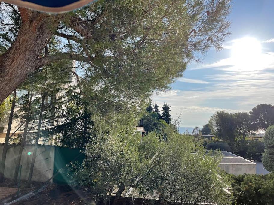 Cassis, Superbe Appartement Avec Terrasse Eksteriør billede